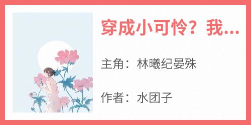 抖音林曦纪晏殊小说叫什么名字