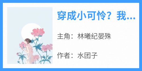 穿成小可怜？我转身军婚嫁兵哥(林曦纪晏殊)最新章节试读