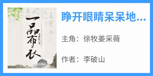 精品小说睁开眼睛呆呆地想了许久全文目录畅读