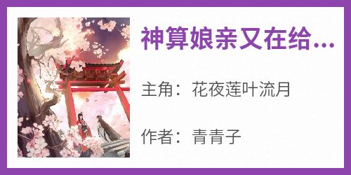 神算娘亲又在给人看相了小说(完本)-花夜莲叶流月无错版阅读