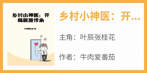 快手热文《乡村小神医：开局就是传承》叶辰张桂花小说推荐