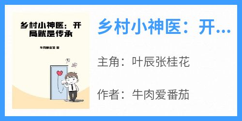 乡村小神医：开局就是传承小说的书名是什么