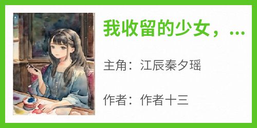 《我收留的少女，怎会是首富继承人》完整版-江辰秦夕瑶在线全文阅读