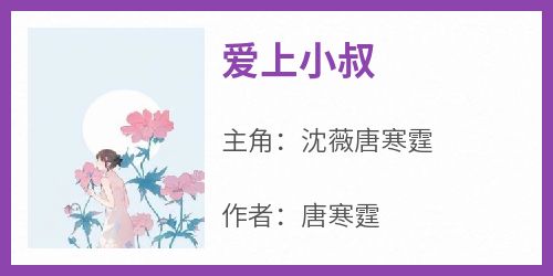 【爱上小叔】主角(沈薇唐寒霆)在线阅读