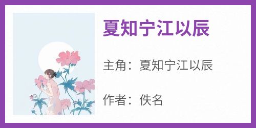 佚名写的小说《夏知宁江以辰》夏知宁江以辰全文阅读