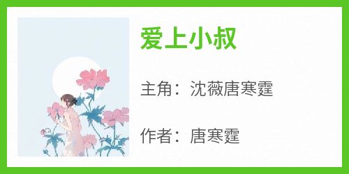 《爱上小叔》章节全目录 沈薇唐寒霆全文免费阅读