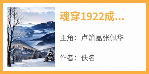 卢箫嘉张佩华小说哪里可以看 小说《魂穿1922成为军阀独生子》全文免费阅读