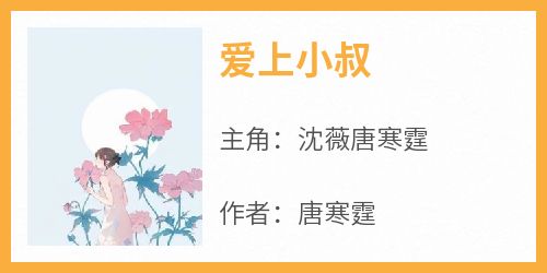 爱上小叔[抖音]小说-沈薇唐寒霆无删减阅读