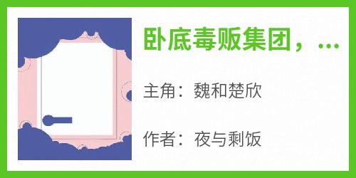 卧底毒贩集团，我惨死湄河章节目录小说-魏和楚欣免费阅读全文