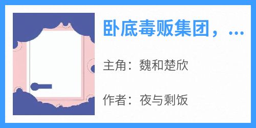 抖音小说《卧底毒贩集团，我惨死湄河》主角魏和楚欣全文小说免费阅读