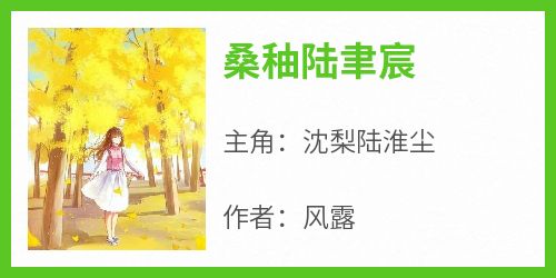 《桑秞陆聿宸沈梨陆淮尘》桑秞陆聿宸全文免费阅读【完整章节】