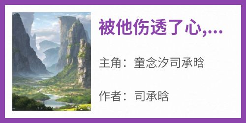 司承晗最新小说《被他伤透了心,再也不愿意原谅他了》童念汐司承晗在线试读