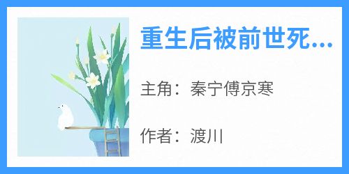 重生后被前世死对头宠上天抖音全本小说秦宁傅京寒抖音免费章节阅读