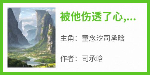 主角是童念汐司承晗的被他伤透了心,再也不愿意原谅他了抖音热门小说