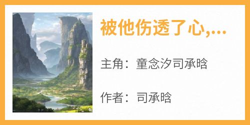 火爆被他伤透了心,再也不愿意原谅他了小说，主角是童念汐司承晗在线阅读全文无删减