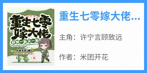 重生七零嫁大佬，娇娇一胎又一胎小说主角是许宁言顾致远全文完整版阅读