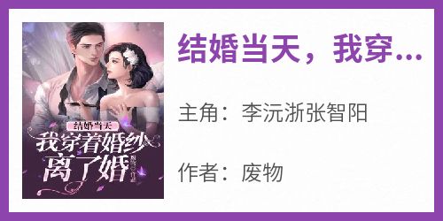 《结婚当天，我穿着婚纱离了婚》李沅浙张智阳by废物免费看