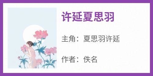 佚名最新小说《许延夏思羽》夏思羽许延在线试读