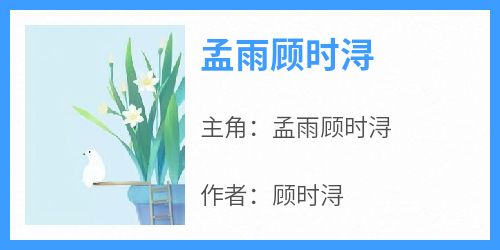 书荒必备《孟雨顾时浔》全文章节阅读