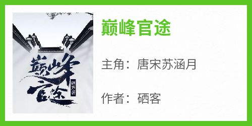 巅峰官途(新书)大结局在线阅读