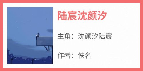 《沈颜汐陆宸》主角小说陆宸沈颜汐抖音文免费阅读全文