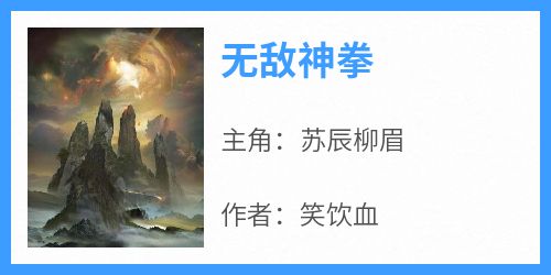 抖音苏辰柳眉小说叫什么名字