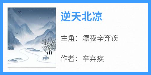 逆天北凉小说(完整版)-凛夜辛弃疾章节阅读