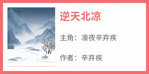 抖音小说凛夜辛弃疾《凛夜辛弃疾》无弹窗试读