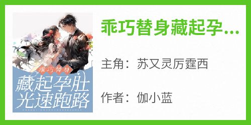 火爆乖巧替身藏起孕肚光速跑路小说，主角是苏又灵厉霆西在线阅读全文无删减