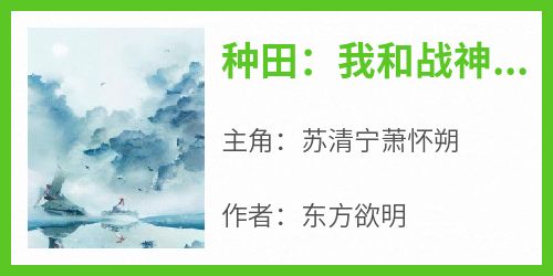 苏清宁萧怀朔完整未删减版在线阅读 苏清宁萧怀朔结局