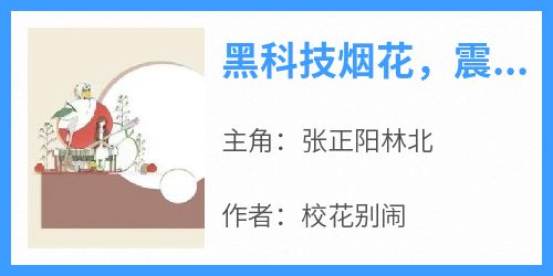 张正阳林北小说全文免费阅读黑科技烟花，震惊网友亿点点全文免费阅读