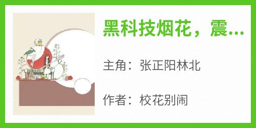 热门小说《黑科技烟花，震惊网友亿点点》完整版全文阅读