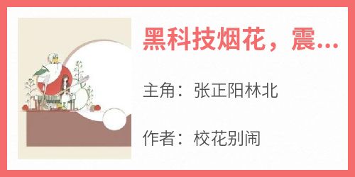 《黑科技烟花，震惊网友亿点点》张正阳林北最新章节在线阅读