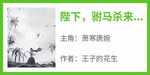 陛下，驸马杀来了免费阅读全文，主角萧寒唐婉小说完整版最新章节