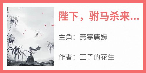 《陛下，驸马杀来了》小说免费阅读 萧寒唐婉大结局完整版