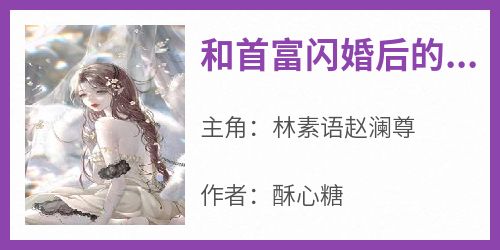 《和首富闪婚后的99次出逃》无广告阅读 林素语赵澜尊免费在线阅读