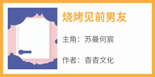 爆款小说烧烤见前男友-主角苏曼何宸在线阅读