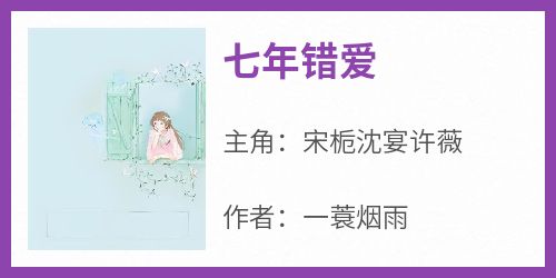 《七年错爱》宋栀沈宴许薇全章节目录免费阅读