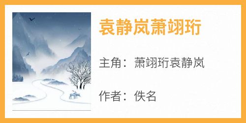 【热文】《袁静岚萧翊珩》主角萧翊珩袁静岚小说全集免费阅读