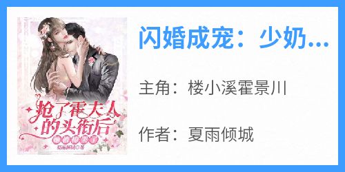 夏雨倾城的小说《闪婚成宠：少奶奶今天回家了吗？》全文阅读