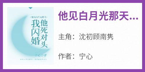 沈初顾南隽全本章节在线阅读大结局