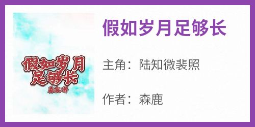 陆知微裴照小说《假如岁月足够长》全文阅读