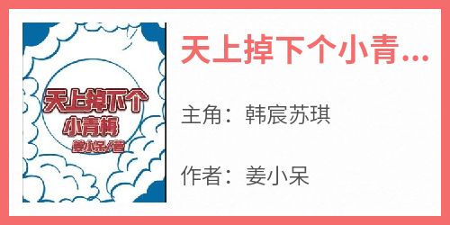 天上掉下个小青梅全文目录-韩宸苏琪小说无弹窗阅读