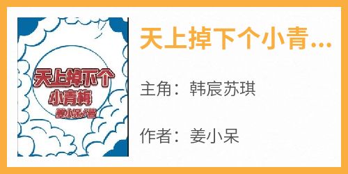 主角是韩宸苏琪的小说叫什么《天上掉下个小青梅》免费全文阅读