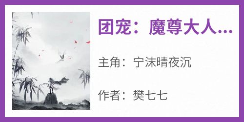 团宠：魔尊大人恋爱脑(宁沫晴夜沉)最新章节试读