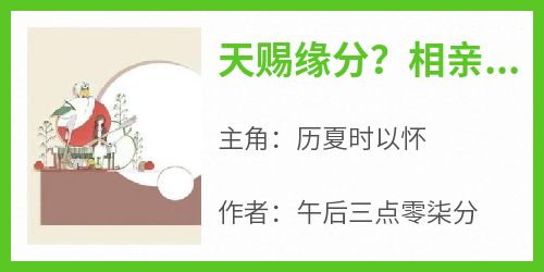 天赐缘分？相亲相到老同学小说(完整版)-历夏时以怀章节阅读