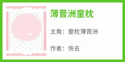 免费完结小说《薄晋洲童枕童枕薄晋洲》无弹窗免费阅读