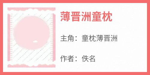 爆款小说《薄晋洲童枕》在线阅读-童枕薄晋洲免费阅读