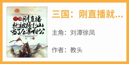 刘潭徐凤小说哪里可以看 小说《三国：刚直播就被抢上山当了压寨相公》全文免费阅读