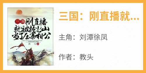 热文三国：刚直播就被抢上山当了压寨相公小说-主角刘潭徐凤全文在线阅读